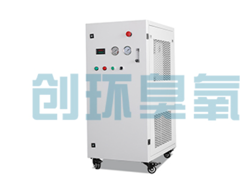 任县石斑鱼养殖水质调控完整指南:臭氧发生器配置与操作步骤