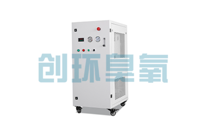 任县比传统换水更高效?臭氧发生器在石斑鱼养殖中的水质净化原理解析