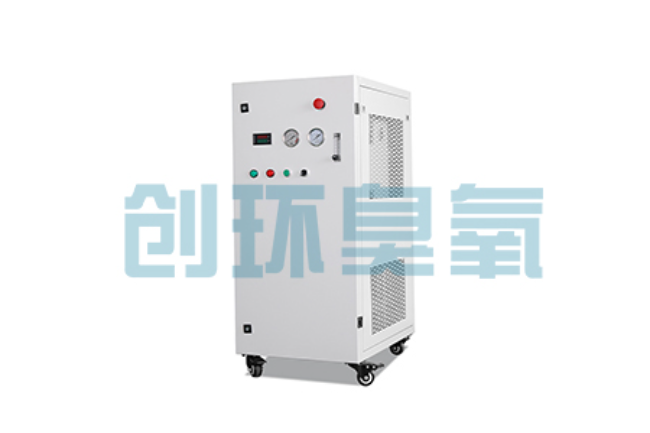 任县比传统换水更高效？臭氧发生器在石斑鱼养殖中的水质净化原理解析